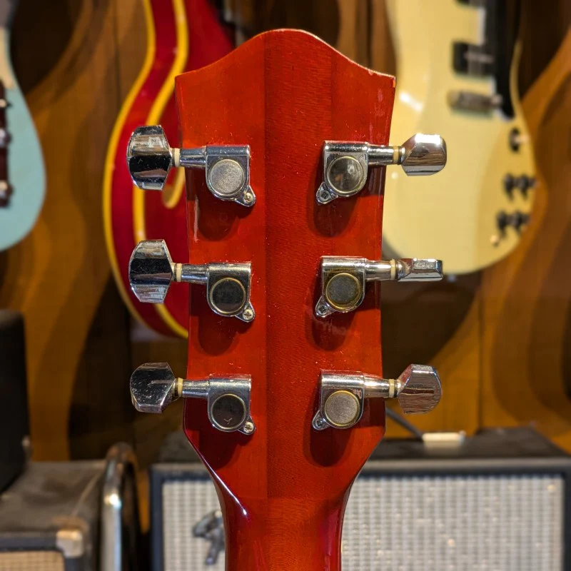 ART-LUTHIER DOBRO - Image 6