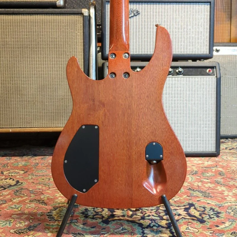 BRIAN MOORE CUSTOM SHOP C55 EH SPRUCE LIMITED EDITION - Image 2