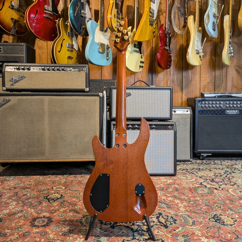 BRIAN MOORE CUSTOM SHOP C55 EH SPRUCE LIMITED EDITION - Image 4