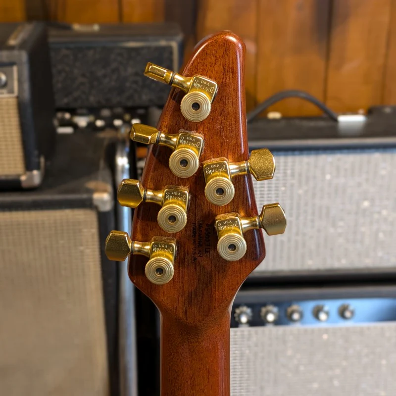 BRIAN MOORE CUSTOM SHOP C55 EH SPRUCE LIMITED EDITION - Image 6