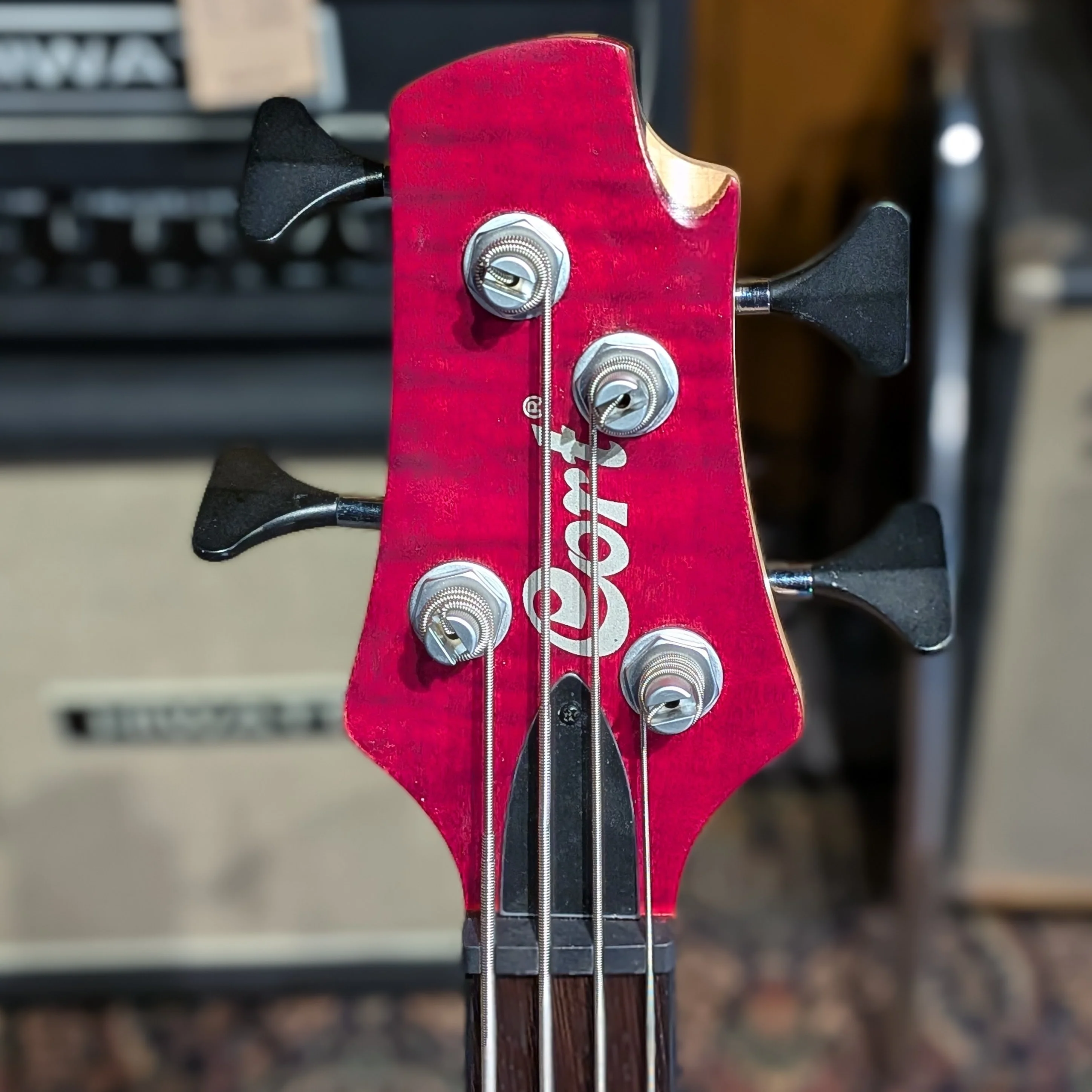 Cort A4 Plus FMMH - Black Cherry - Image 5