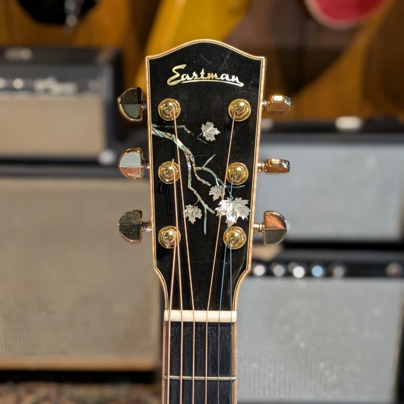 Eastman AC622CE - Image 7