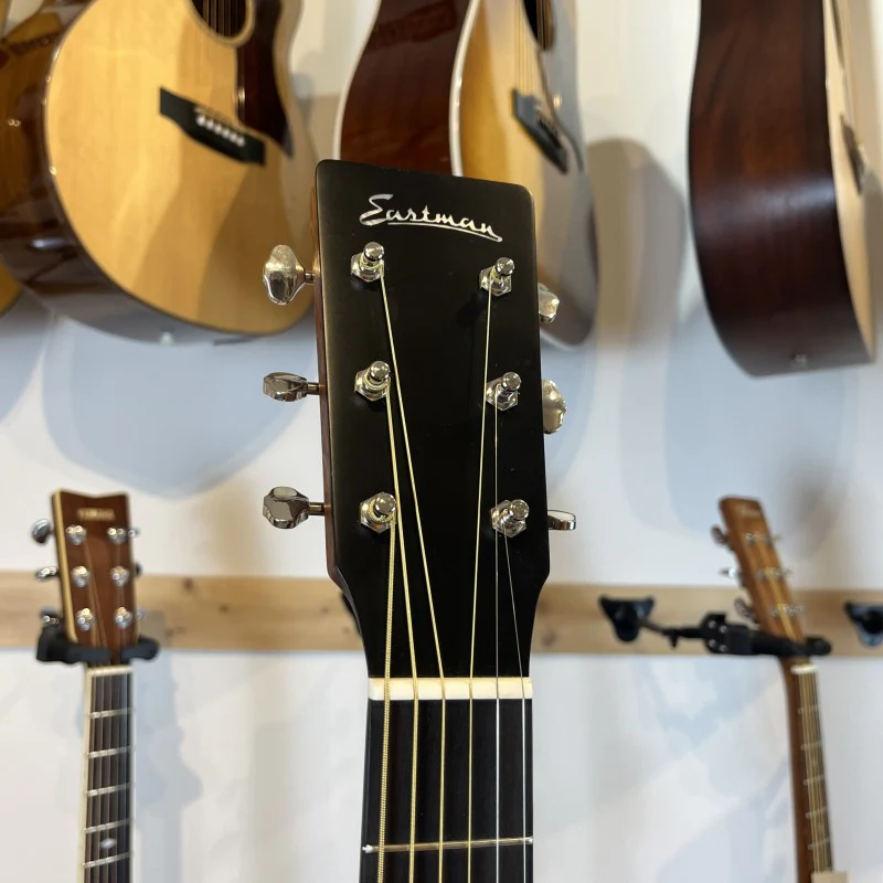 EASTMAN E1D 2021 - Image 5