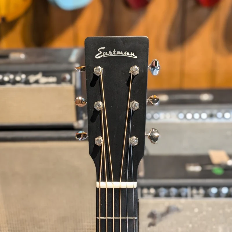 Eastman E3D-DLX - Image 5