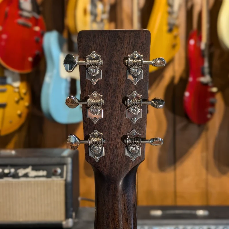 Eastman E3D-DLX - Image 6