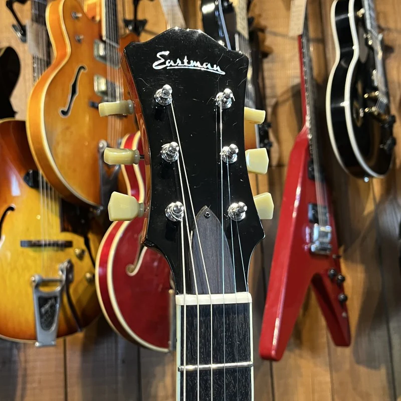 Eastman T386 Thinline - Image 3