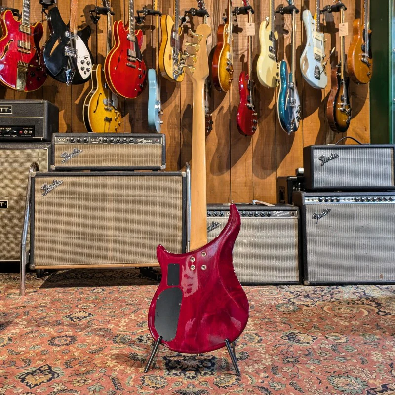 Epiphone EBM-4 (Reverse) - Image 4