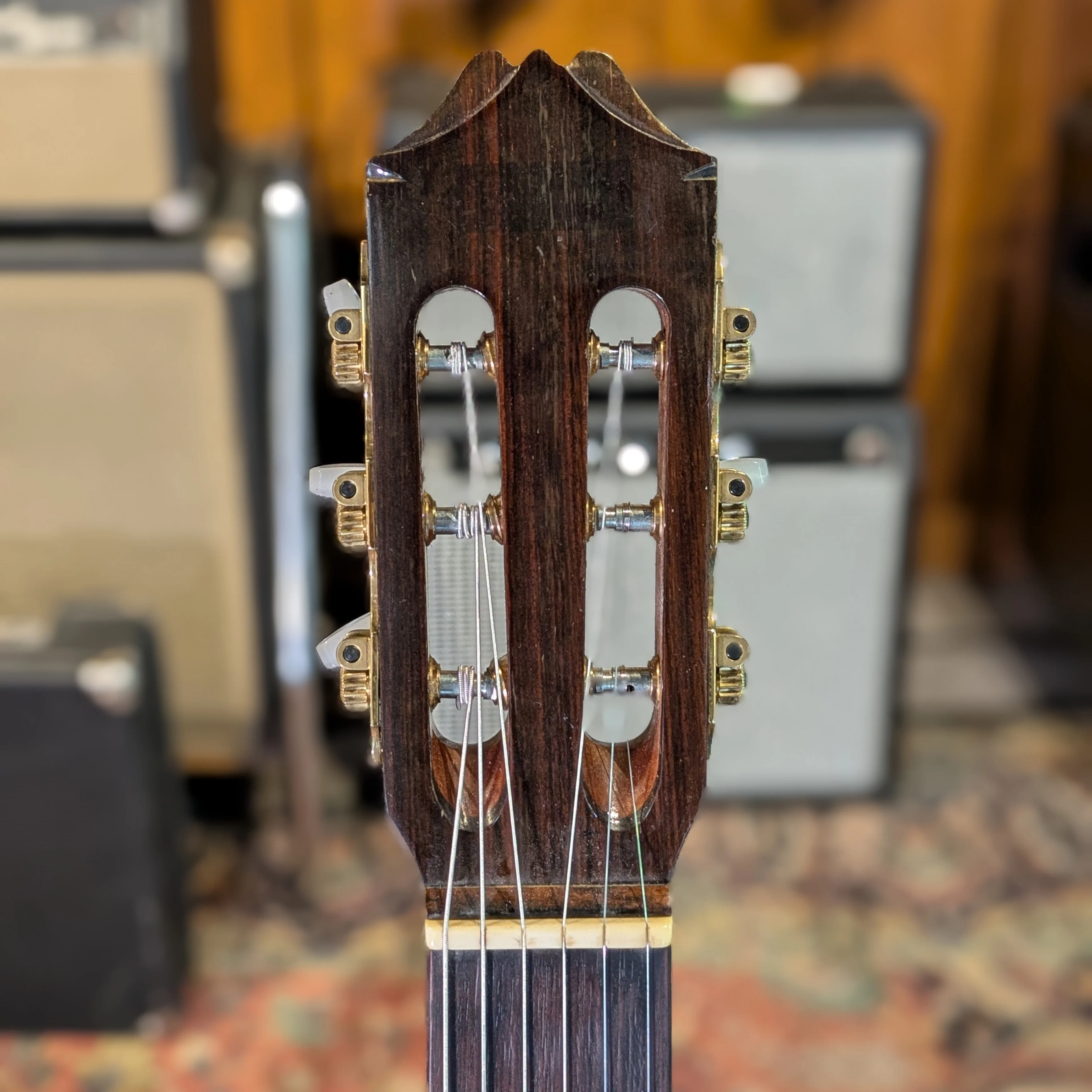 Epiphone EC25E 70's - Image 5