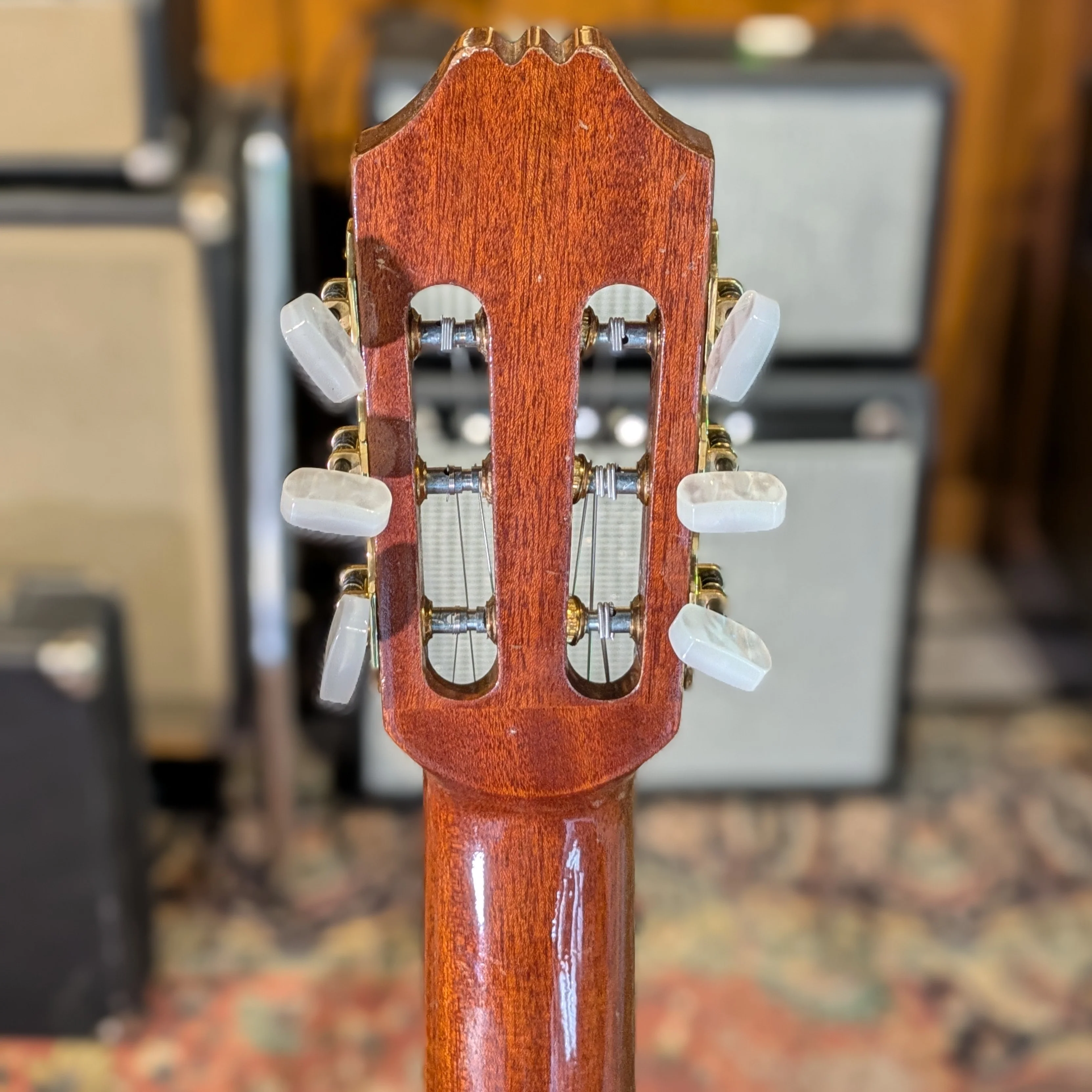 Epiphone EC25E 70's - Image 6