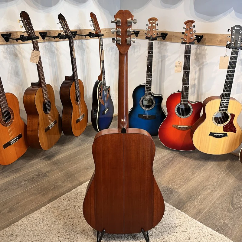 EPIPHONE FR-100 - Image 4