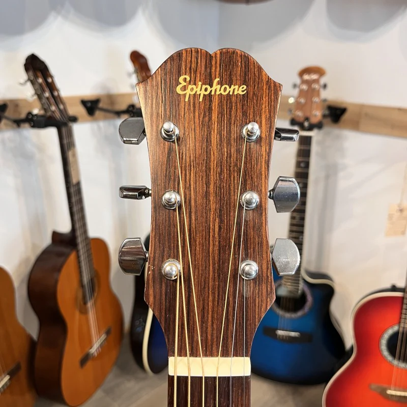 EPIPHONE FR-100 - Image 5