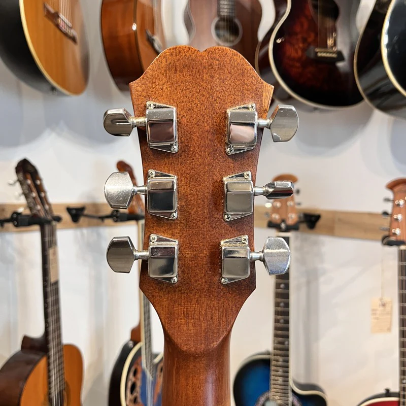EPIPHONE FR-100 - Image 6