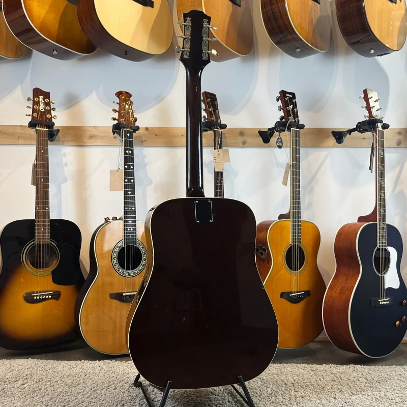 Epiphone ft-145 - 70's Natural - Image 6