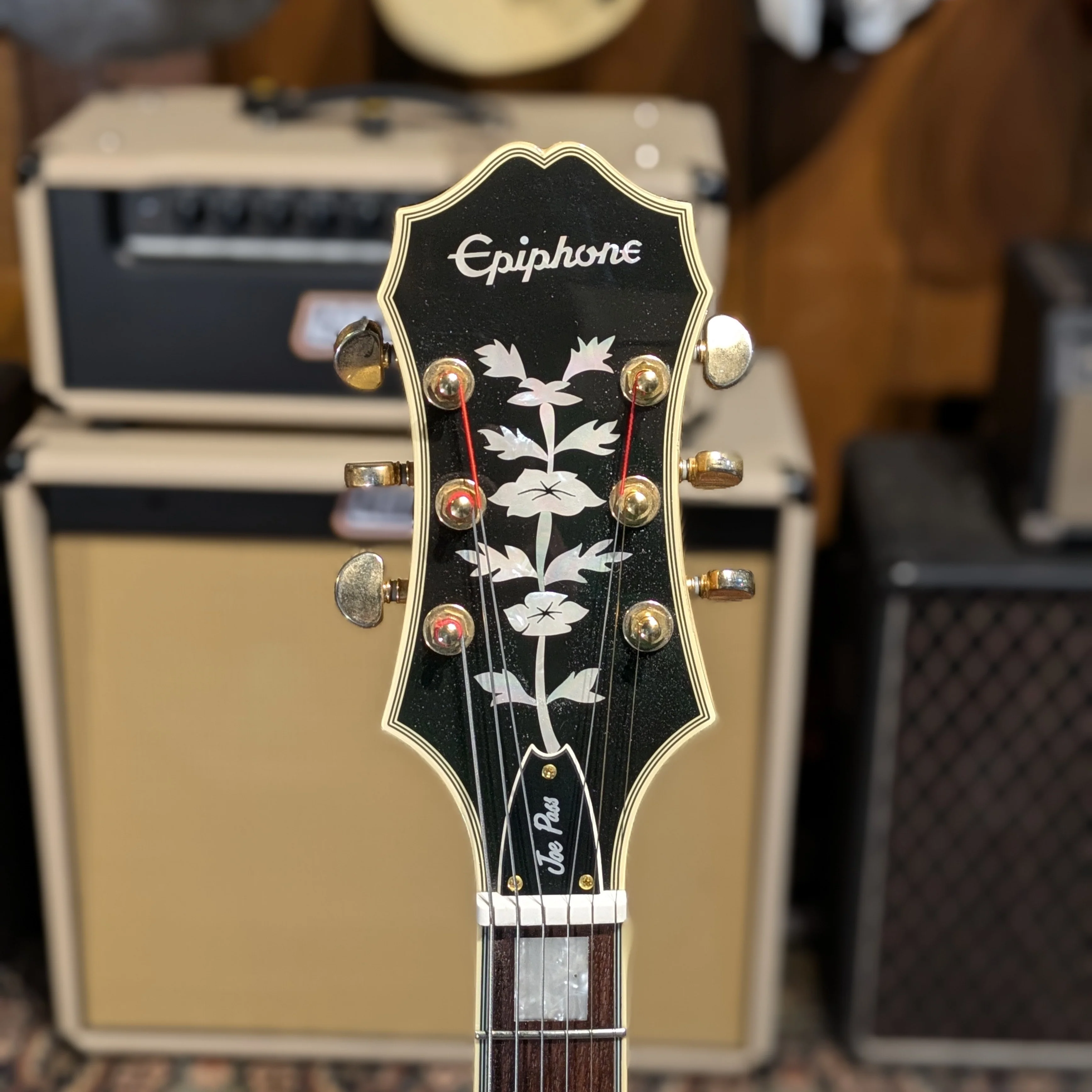 Epiphone Joe Pass Signature Emperor II - Image 5
