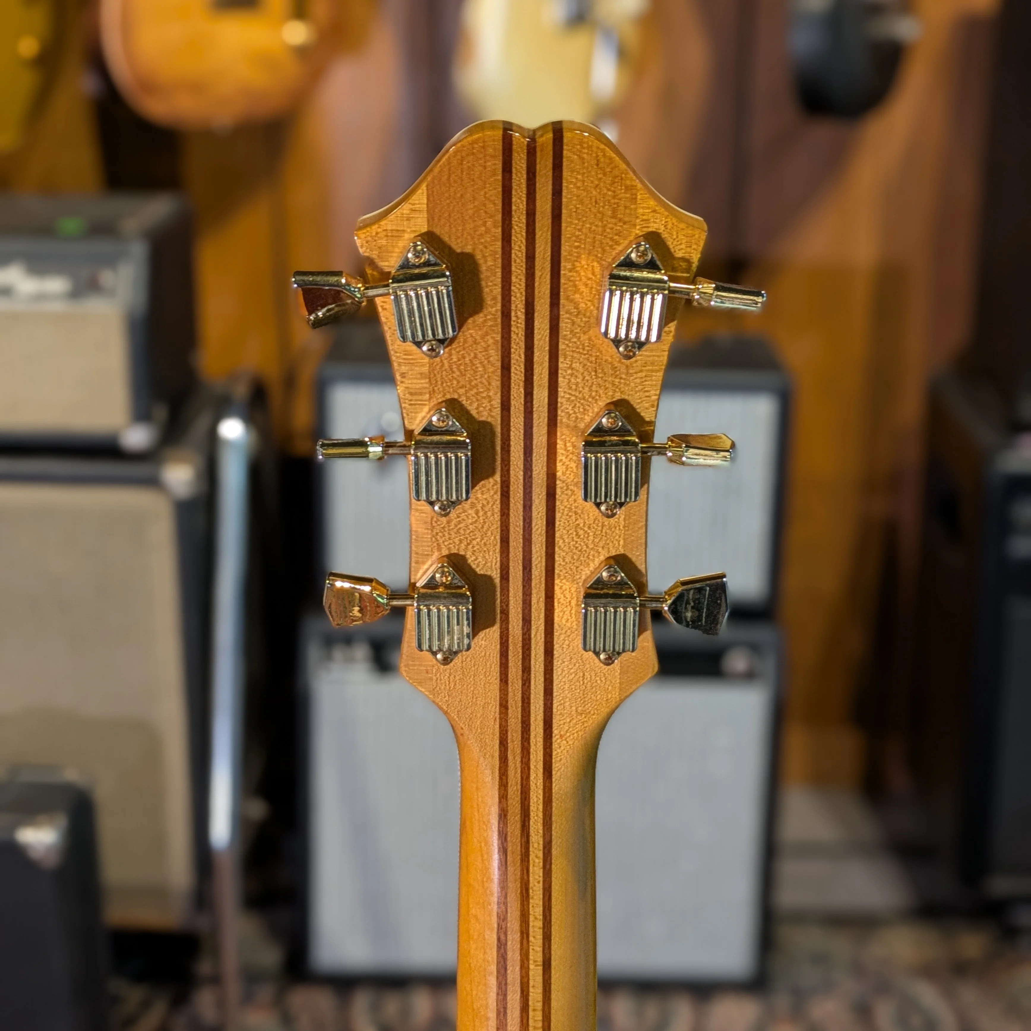 Epiphone Masterbilt Excellente - Image 6