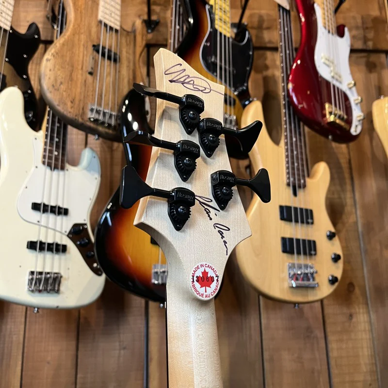 F Bass AC-5 Fretless Alain Caron Signature - Image 6