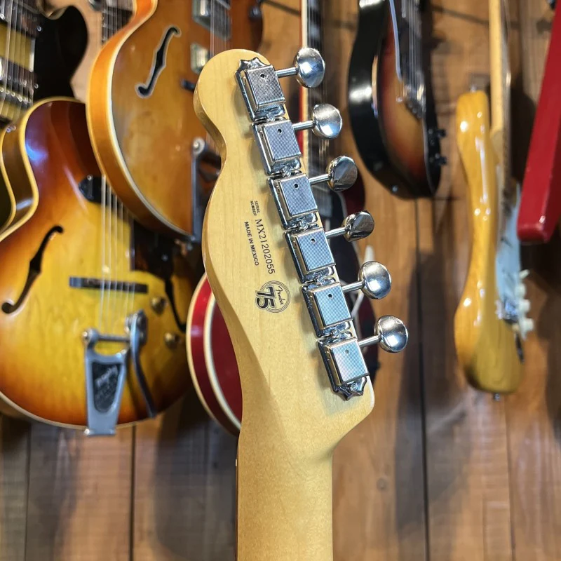 Fender Telecaster 60's Bigsby Vintera (2021) Mexique - Image 6