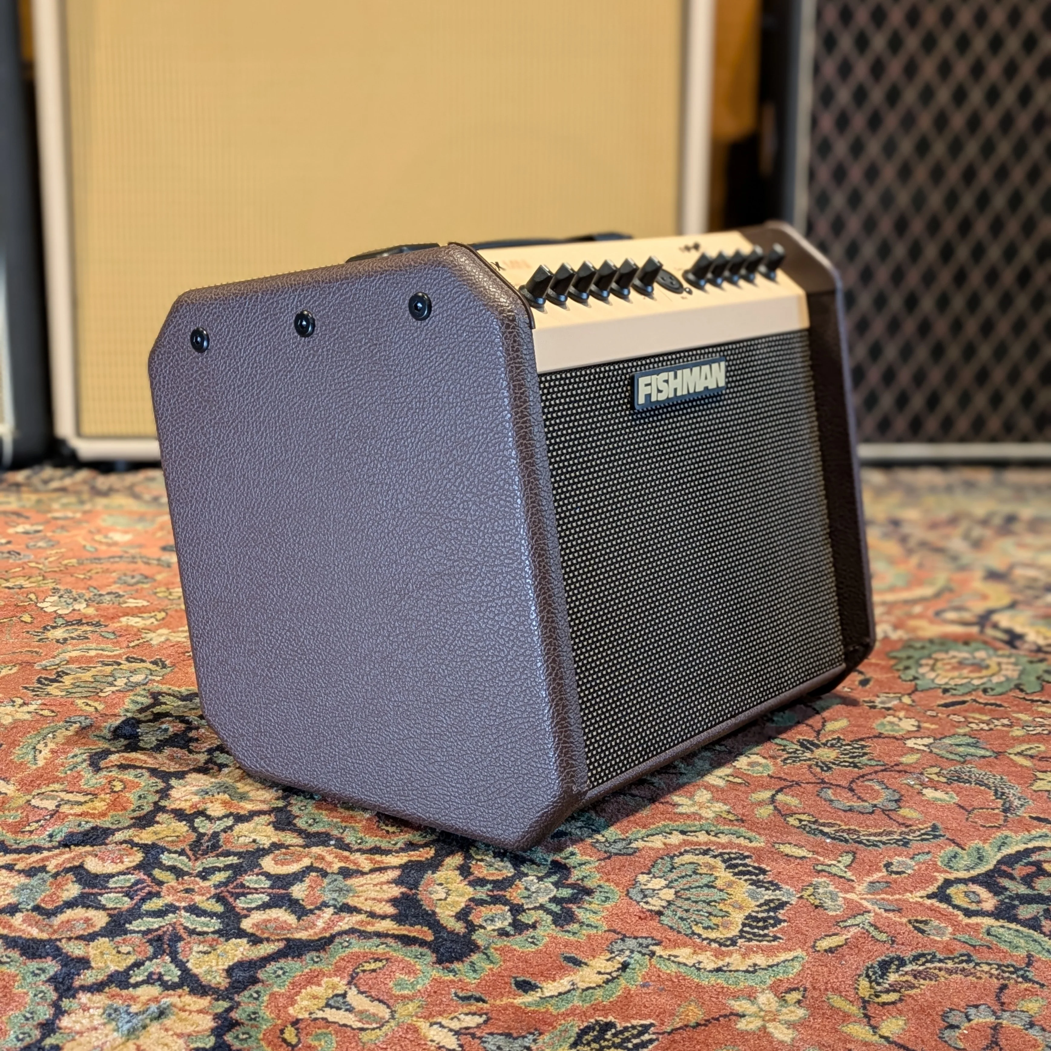 Fishman Loudbox Mini - Image 3
