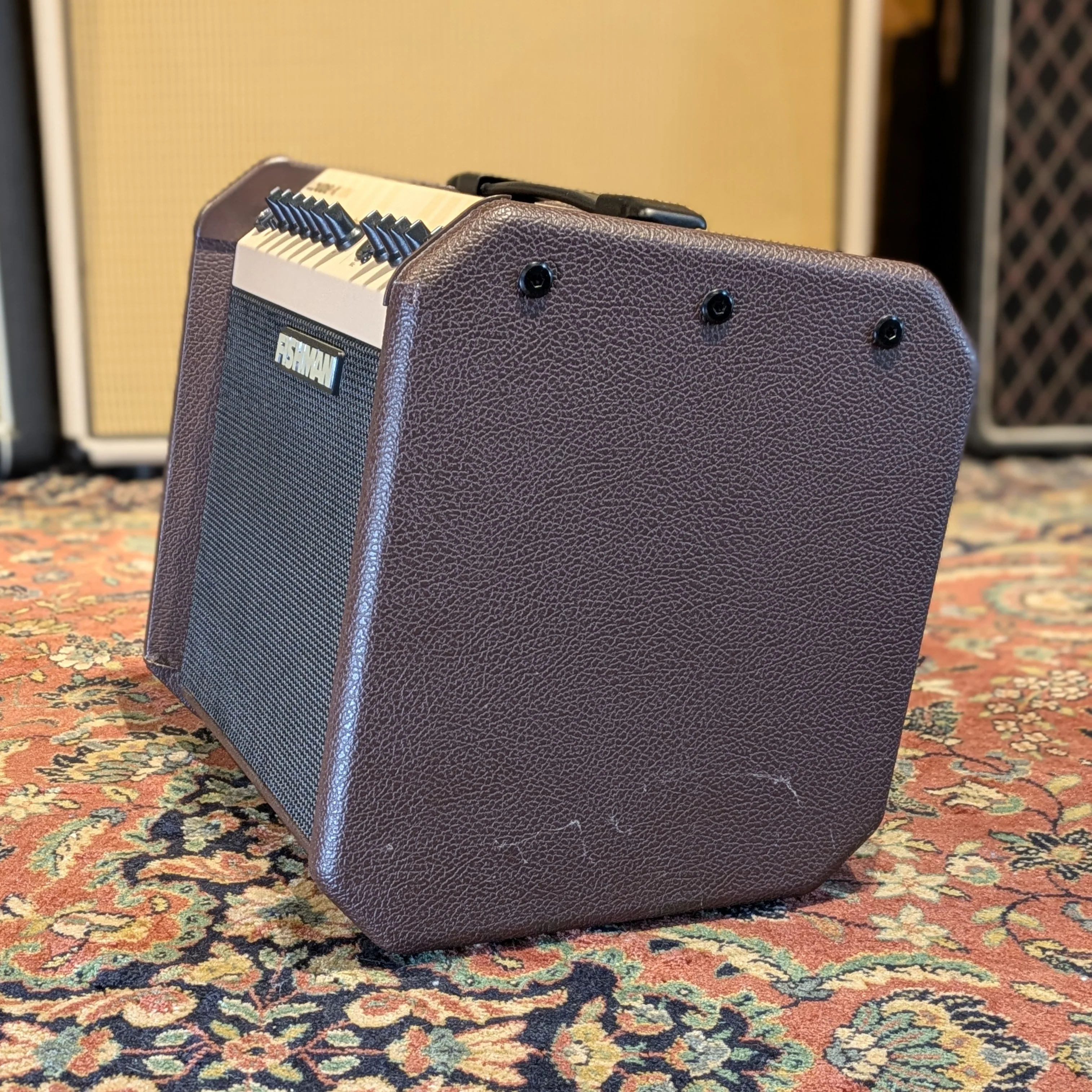 Fishman Loudbox Mini - Image 4