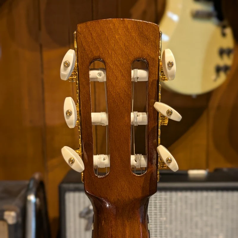Francesco Olivieri CLASSICAL GUITAR - Image 8
