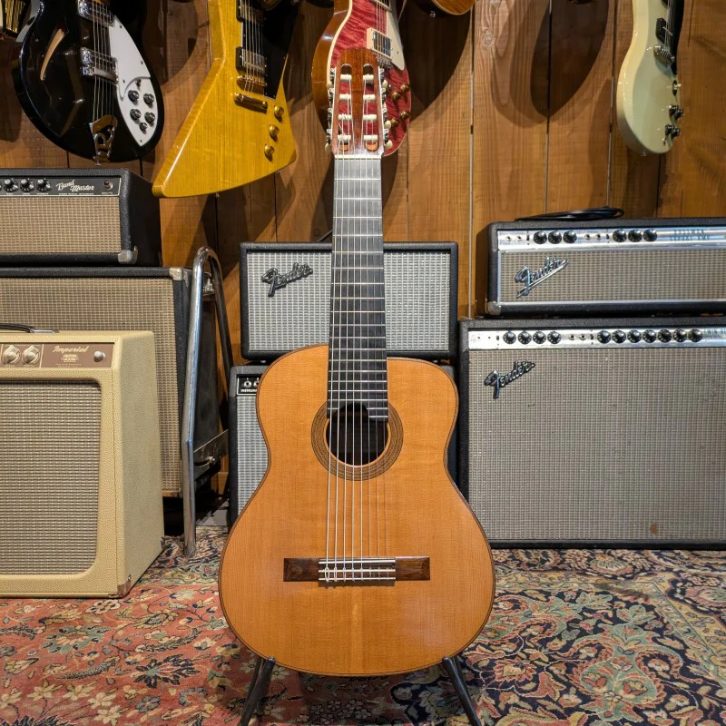 Gerhard Schnabl 8 STRINGS - Image 3