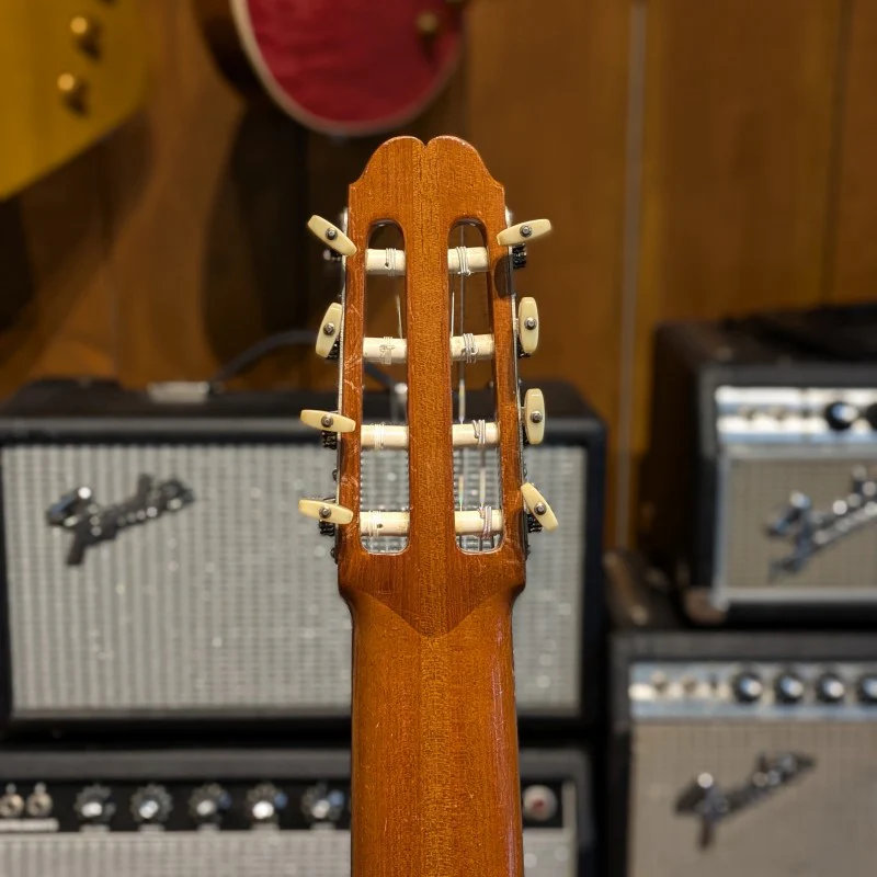 Gerhard Schnabl 8 STRINGS - Image 5