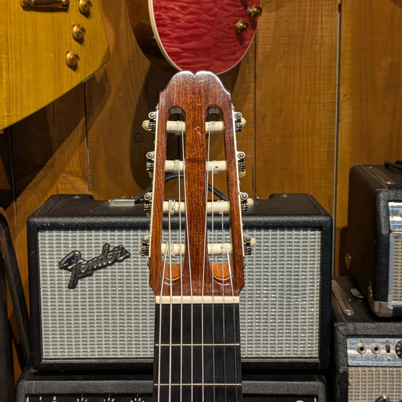 Gerhard Schnabl 8 STRINGS - Image 6