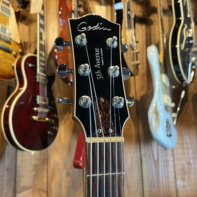 Godin 5th Avenue Kingpin - Image 5
