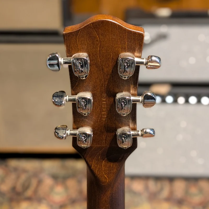 Godin Radiator - Trans Cream - Image 6