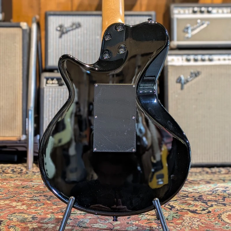 Godin SD - Image 2