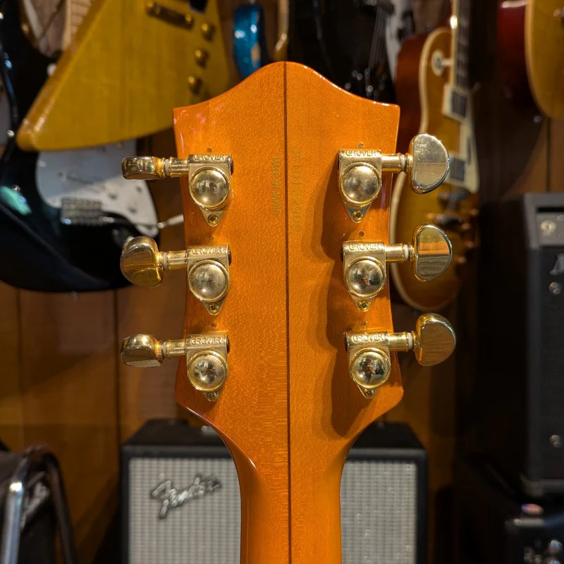 Gretsch G6120DSW Chet Atkins - Image 9