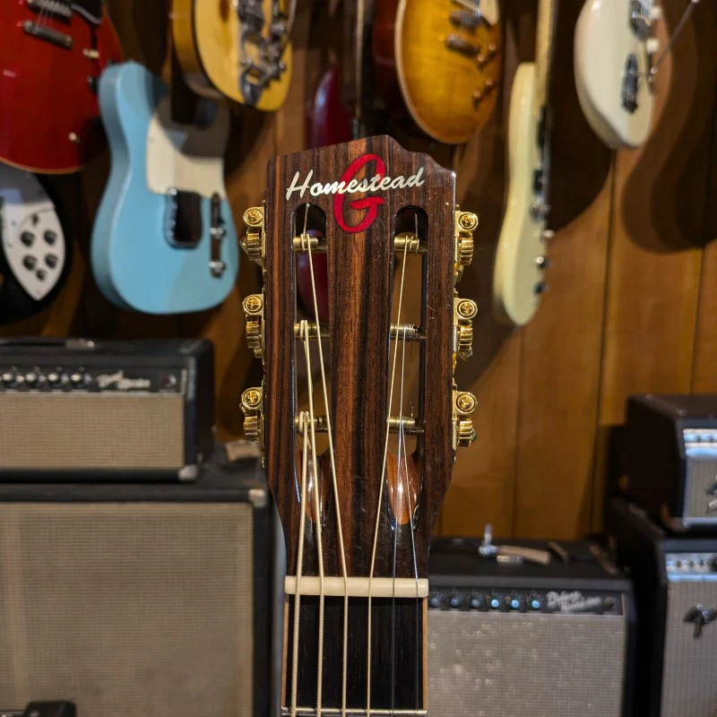 Homestead Guitars DS - Image 5