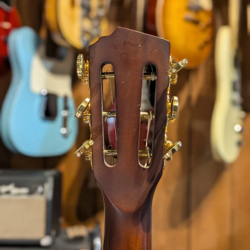 Homestead Guitars DS - Image 6
