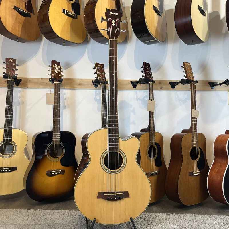 Ibanez Aeb 10 Acoustic Bass - Image 3