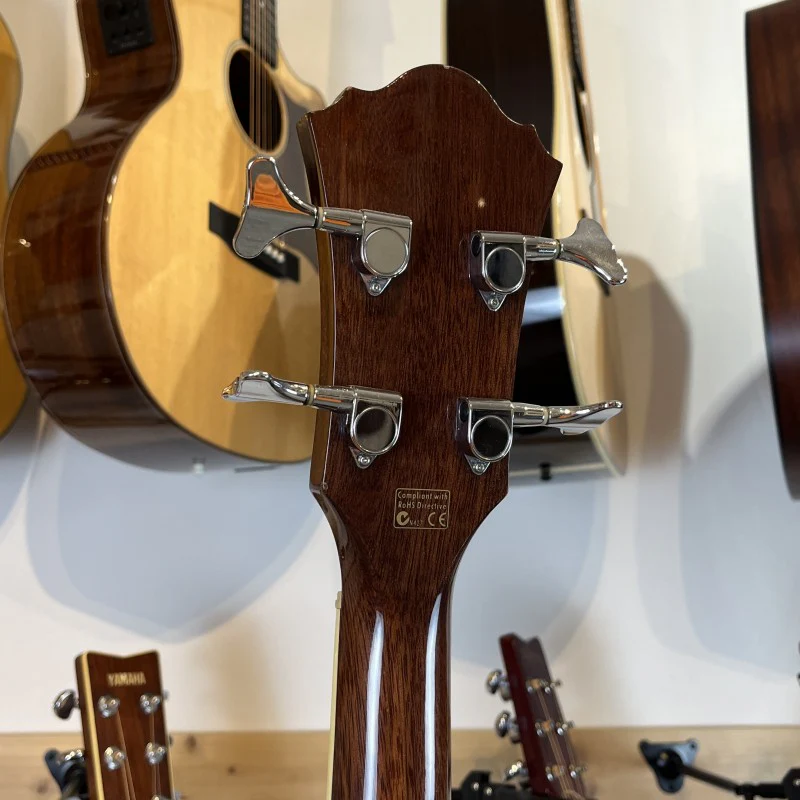 Ibanez Aeb 10 Acoustic Bass - Image 6