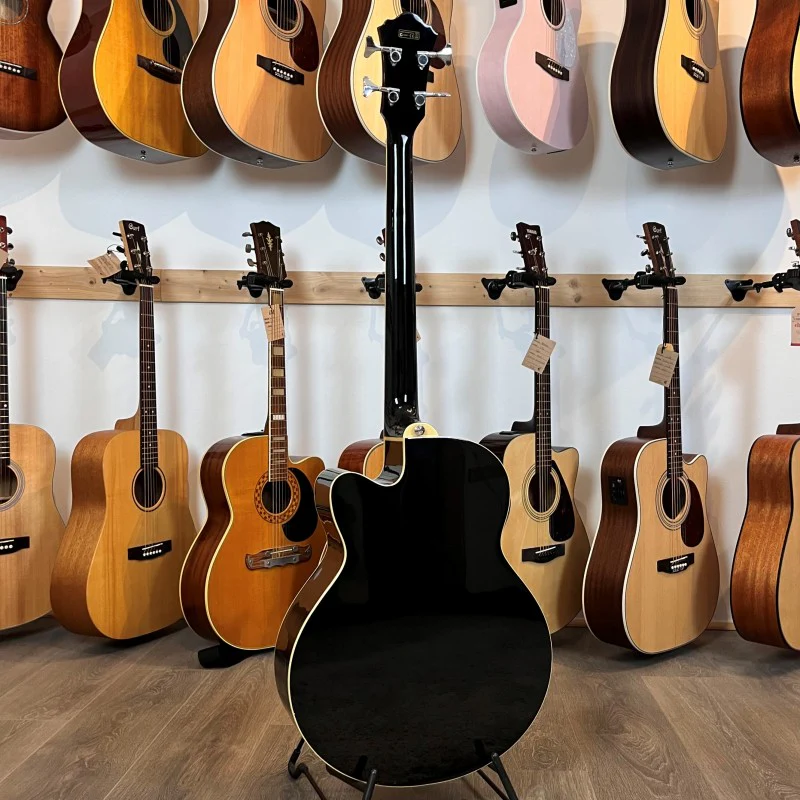 Ibanez Aeb8e-BK - Image 4