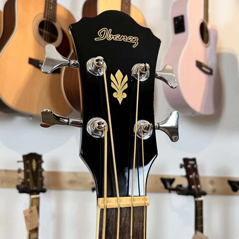 Ibanez Aeb8e-BK - Image 5