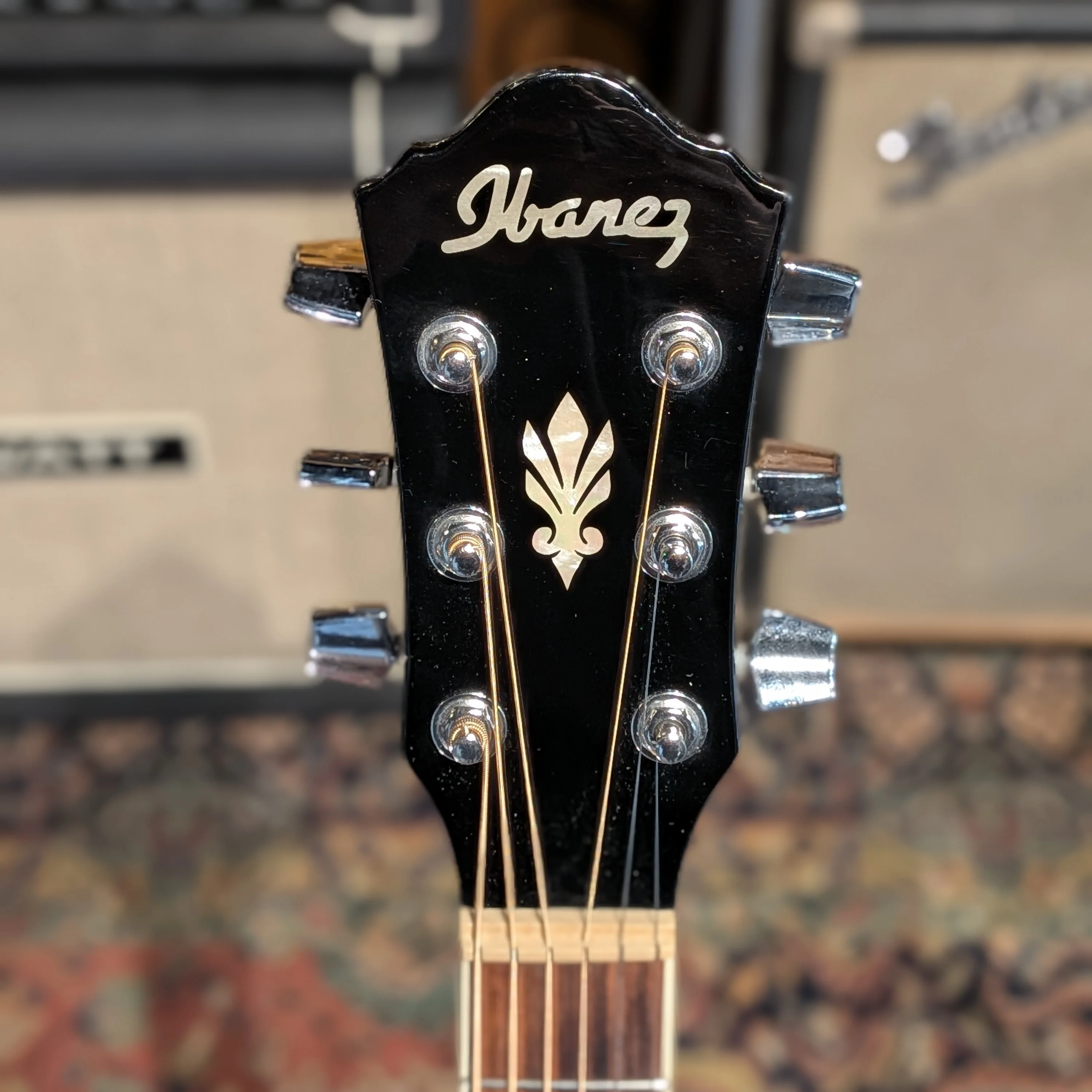 Ibanez AEG10E-BK-27-01 - Black - Image 5