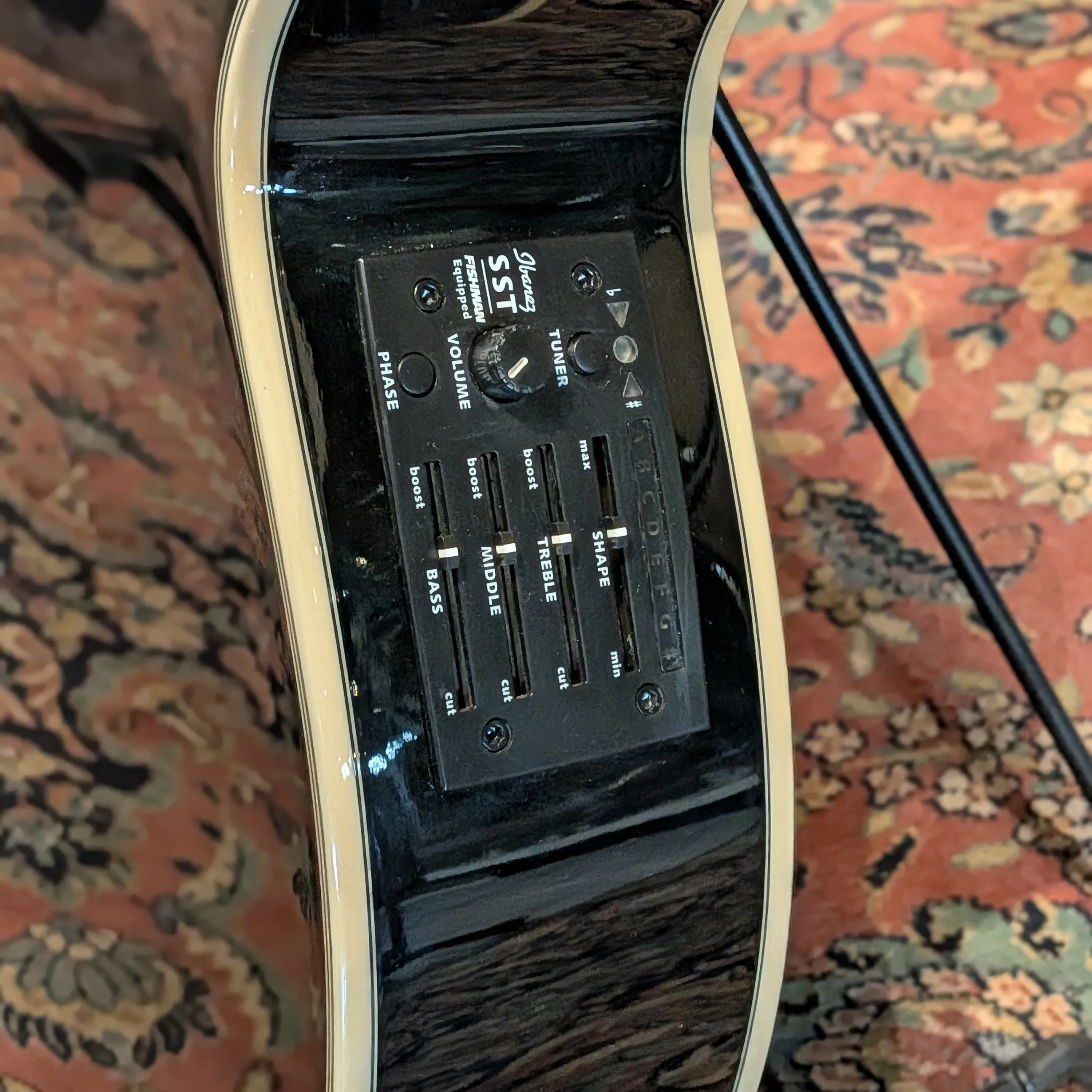 Ibanez AEG10E-BK-27-01 - Black - Image 8