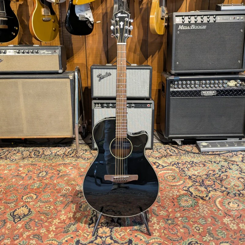 Ibanez AEG50-BK - Image 3