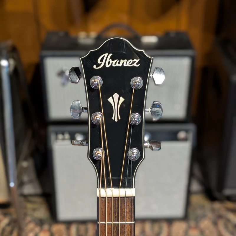 Ibanez AEG50-BK - Image 8