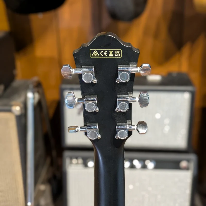 Ibanez AEG50-BK - Image 9