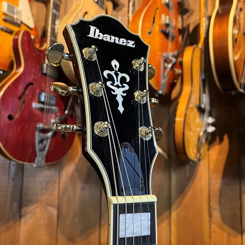 Ibanez AG95QA-DBS - Image 5