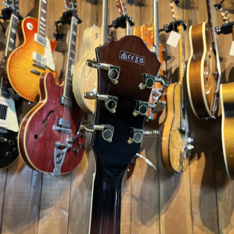 Ibanez AG95QA-DBS - Image 6