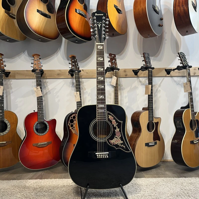 Ibanez F302 - Image 2