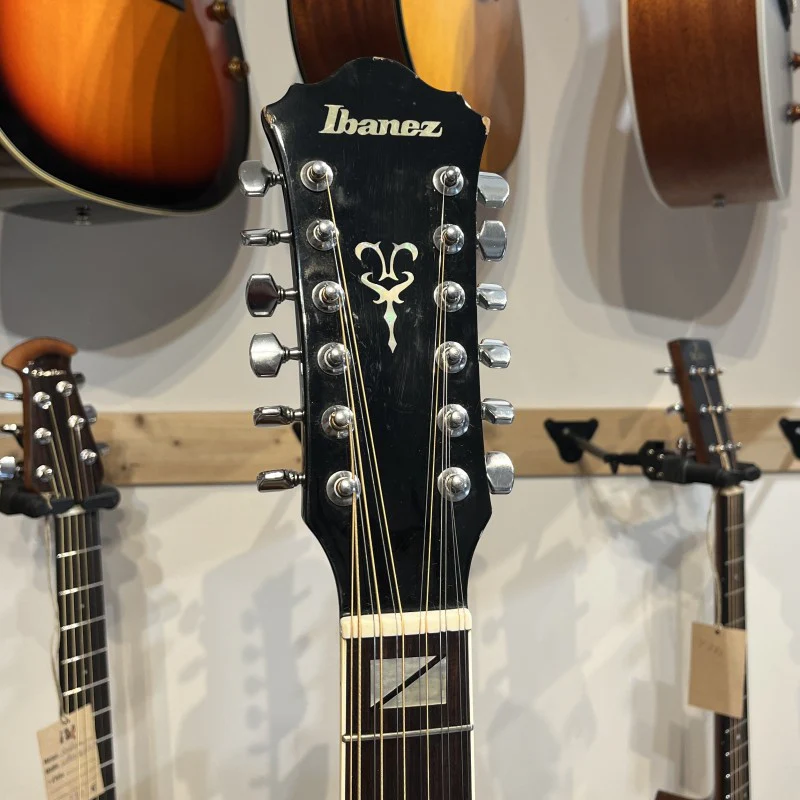 Ibanez F302 - Image 5