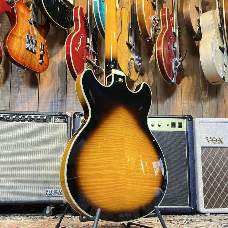 Ibanez JSM10-VYS Signature  John Scofield - Image 2