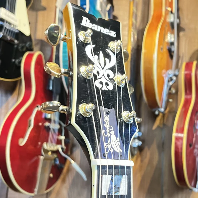 Ibanez JSM10-VYS Signature  John Scofield - Image 5