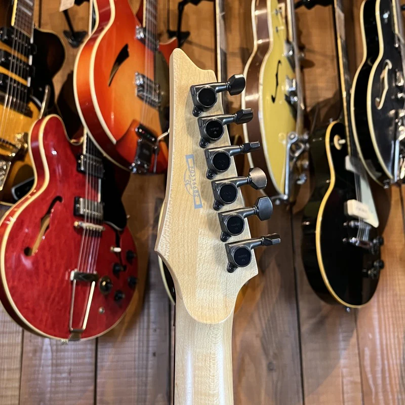 Ibanez RG1570-ZB 2003 - Image 6
