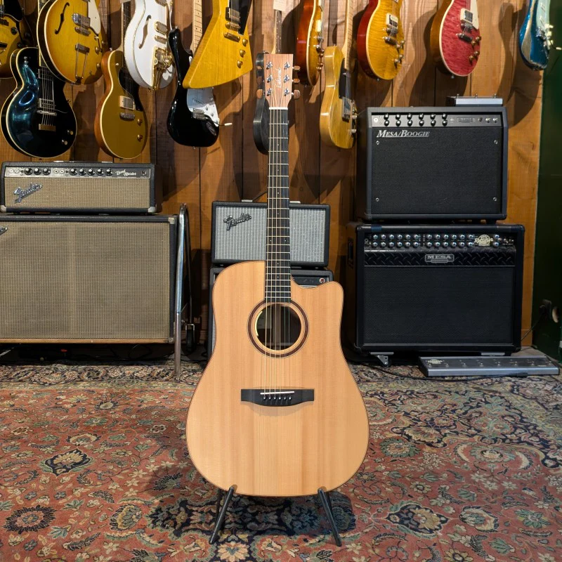 Lakewood Natural Series D-31 CP - Image 7